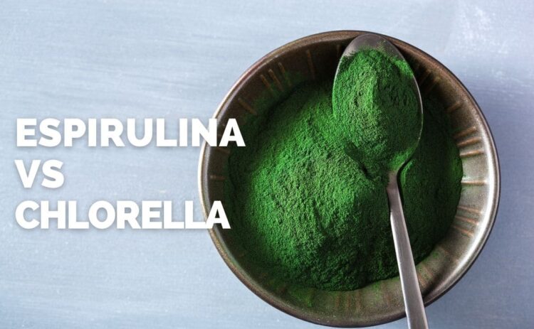 ESPIRULINA VS chlorella