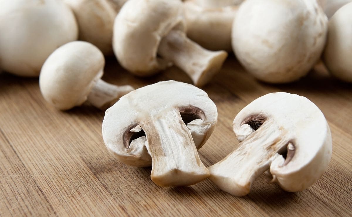 Efecto de los champiñones en el cerebro