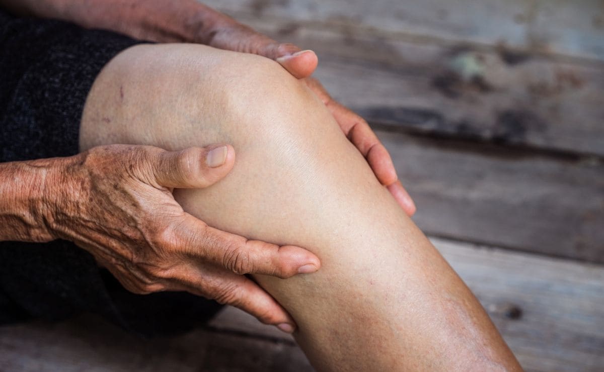 Ingesta de proteínas para las articulaciones