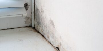 Bicarbonato, ingrediente, limpieza, suelo, humedad