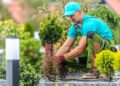 Ofertas de empleo del SEPE para jardineros./ Foto de Canva