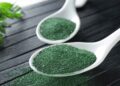 Curiosidades de la espirulina, el superalimento de moda
