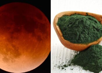 Espirulina en Marte