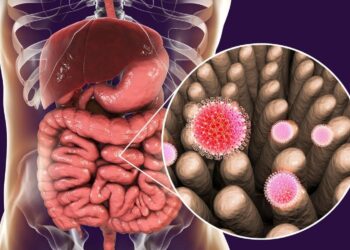 Esto es lo que ocurre en nuestra flora intestinal si comemos en exceso prebióticos
