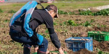 Exoesqueleto para reducir la incapacidad temporal