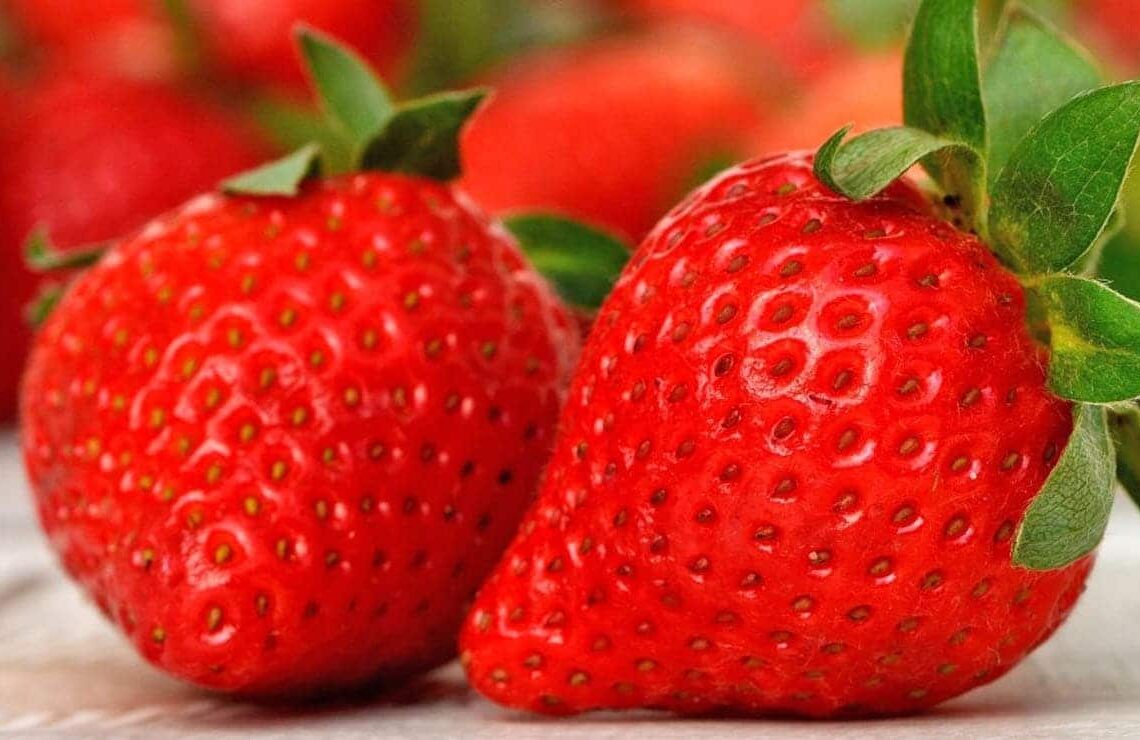Fresas colesterol triglicéridos