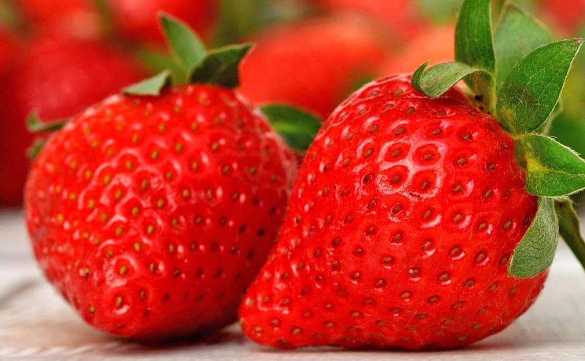 Fresas colesterol triglicéridos