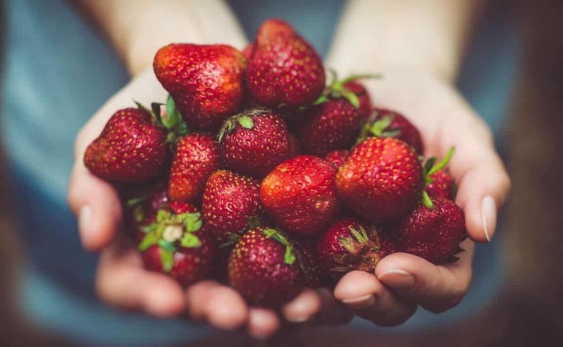Fresón fruta de abril