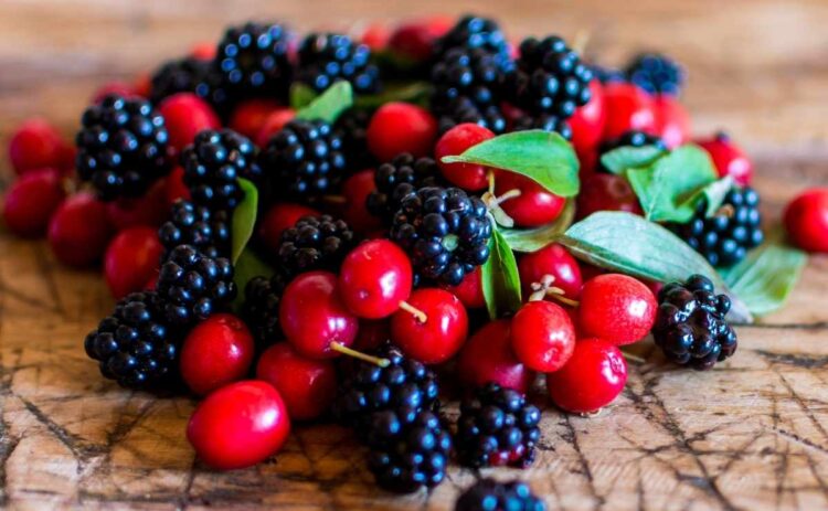 Frutas del bosque saludables para incluir en nuestra dieta