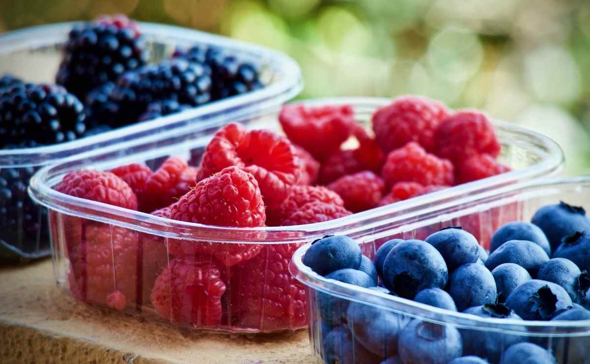 Frutas del bosque, un alimento saludable para incorporar a tu dieta