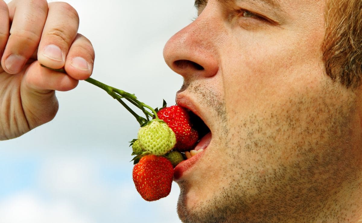 Mejores frutas para comer durante la jubilación