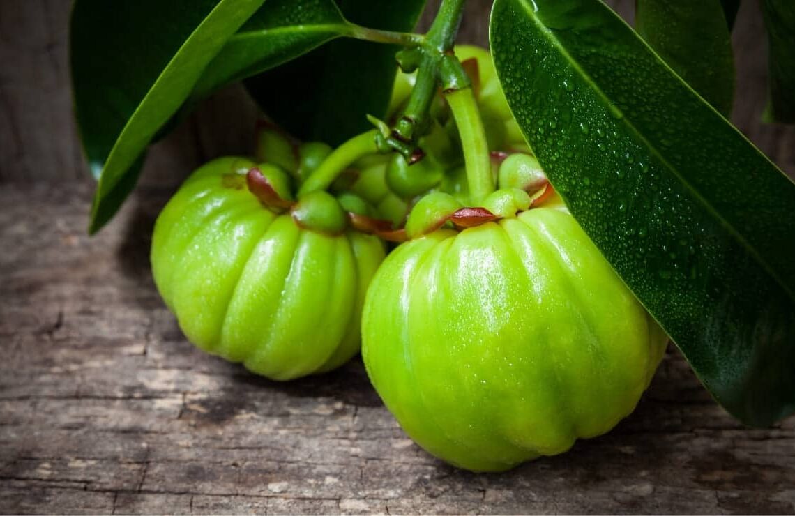 Garcinia cambogia