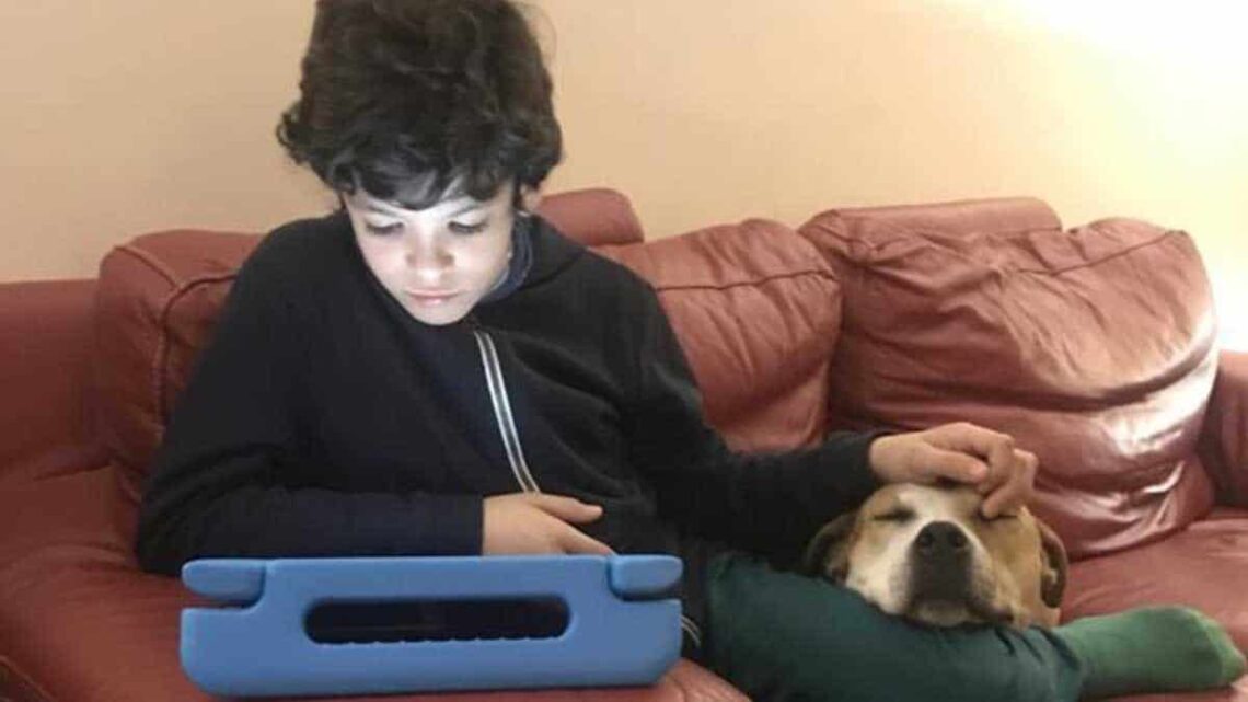 Guille, niño con autismo, junto a su perrita
