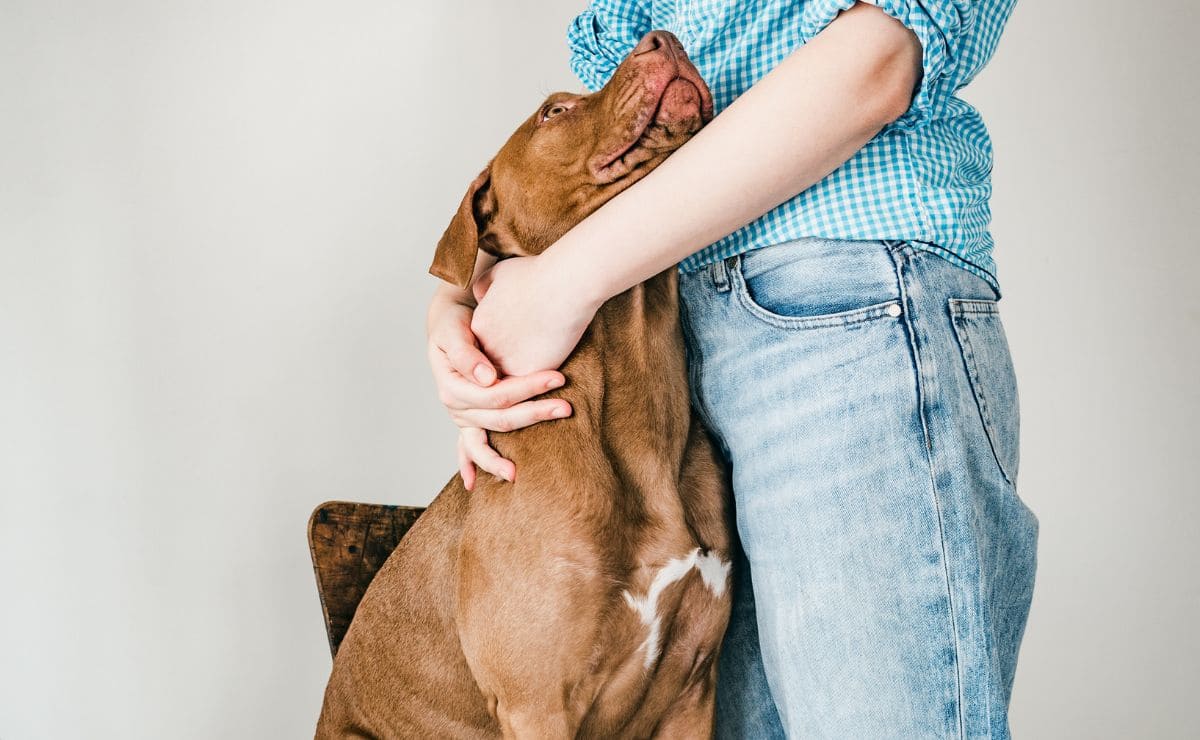 Herencia y mascota./ Foto de Canva