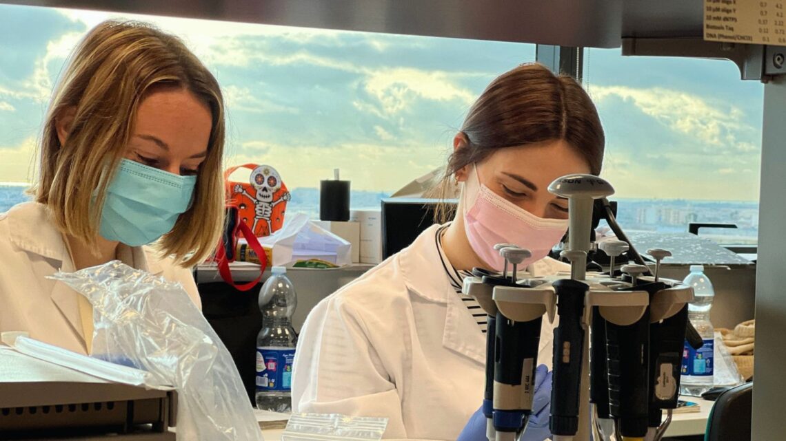 Herencia testamento Instituto de Investigación Sanitaria de la Fe