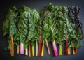 Hortaliza acelgas nutrición