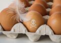 Aumento del riesgo de salmonella por consumo de huevo
