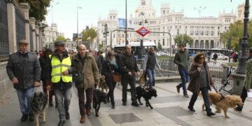Imagen de una edición anterior del Paseo con Perros Guía por Madrid