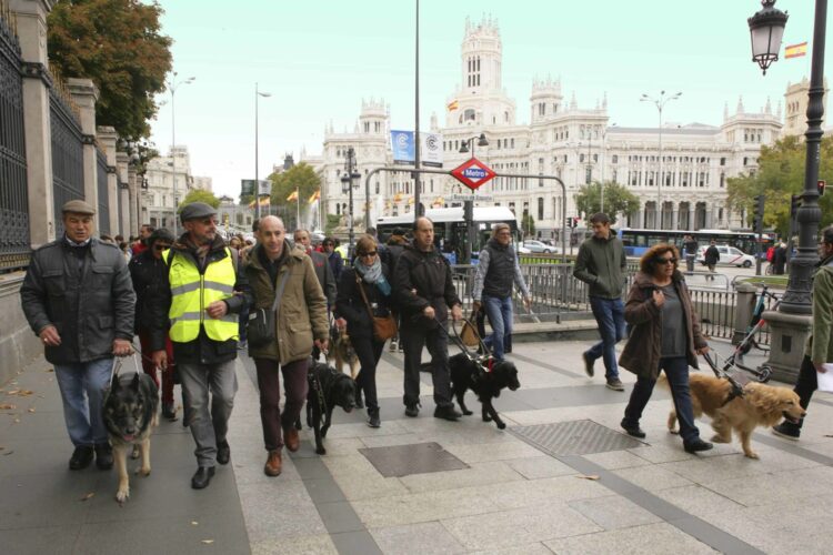 Imagen de una edición anterior del Paseo con Perros Guía por Madrid