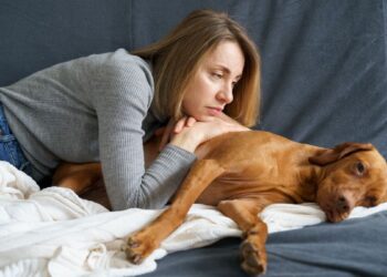 Incapacidad temporal por cuidar de tu mascota