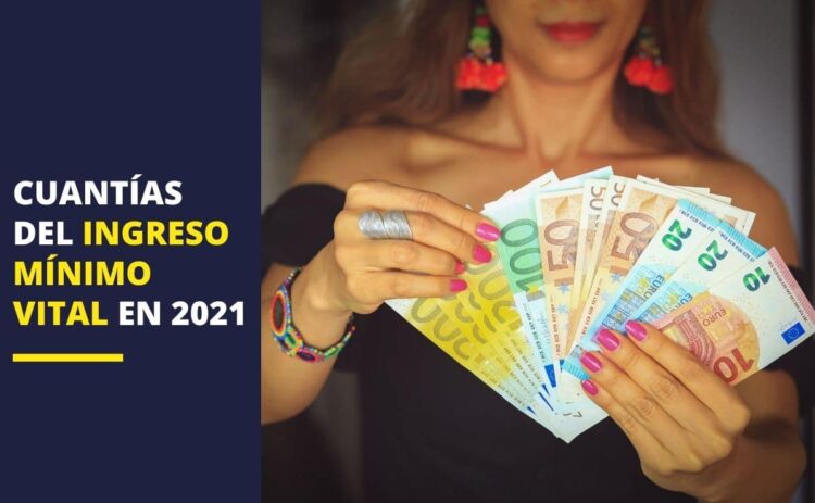 Ingreso Mínimo Vital