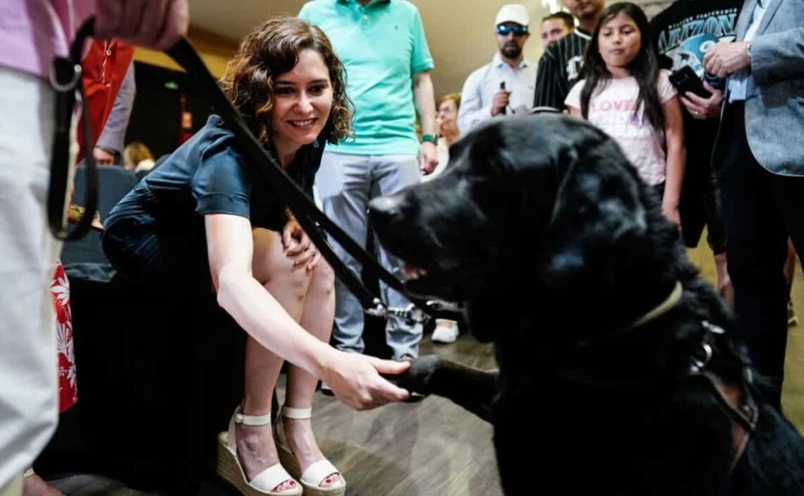 Isabel Díaz Ayuso saludando a un perro guía de una persona con discapacidad visual