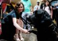 Isabel Díaz Ayuso saludando a un perro guía de una persona con discapacidad visual
