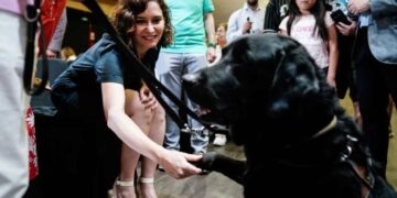 Isabel Díaz Ayuso saludando a un perro guía de una persona con discapacidad visual