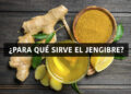 Para qué sirve el jengibre