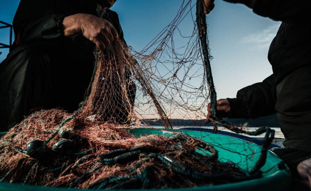 Jubilación para profesiones del mar