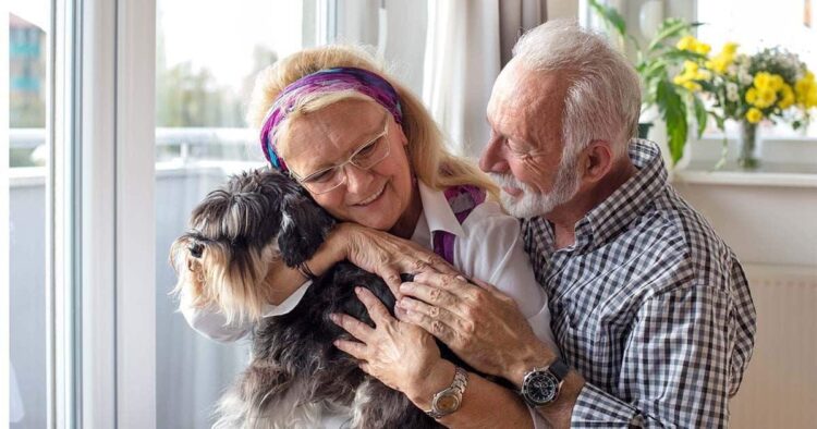 La compañía de animales, la mejor terapia para combatir la soledad