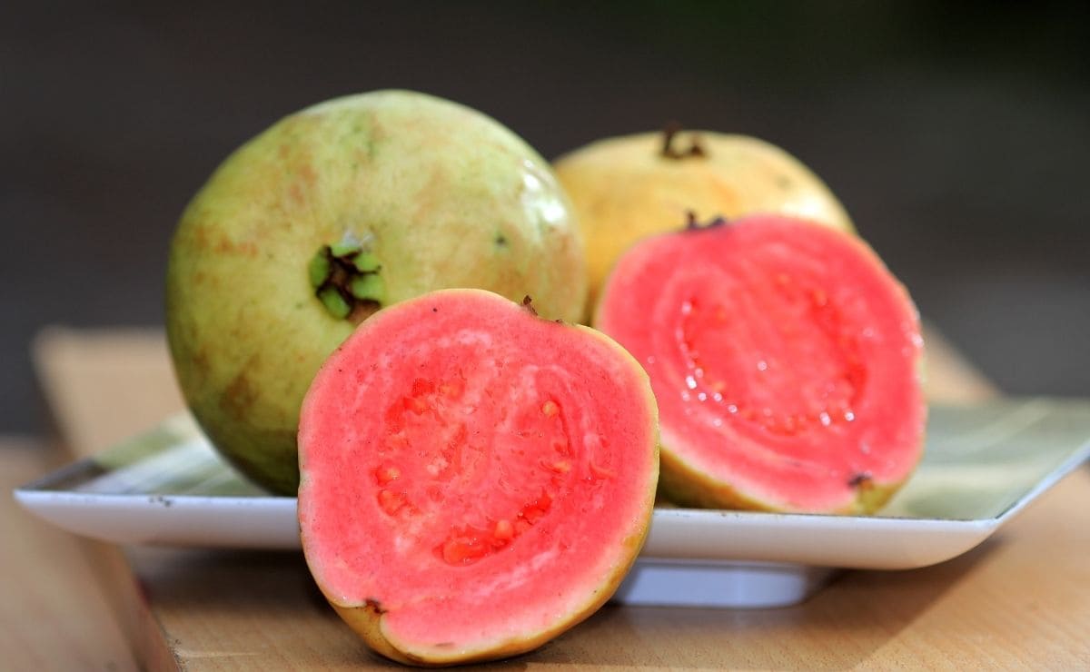 La guayaba es una fruta exótica rica en vitamina C