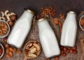 Leche Vegetal