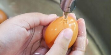 Limpieza cáscara huevo