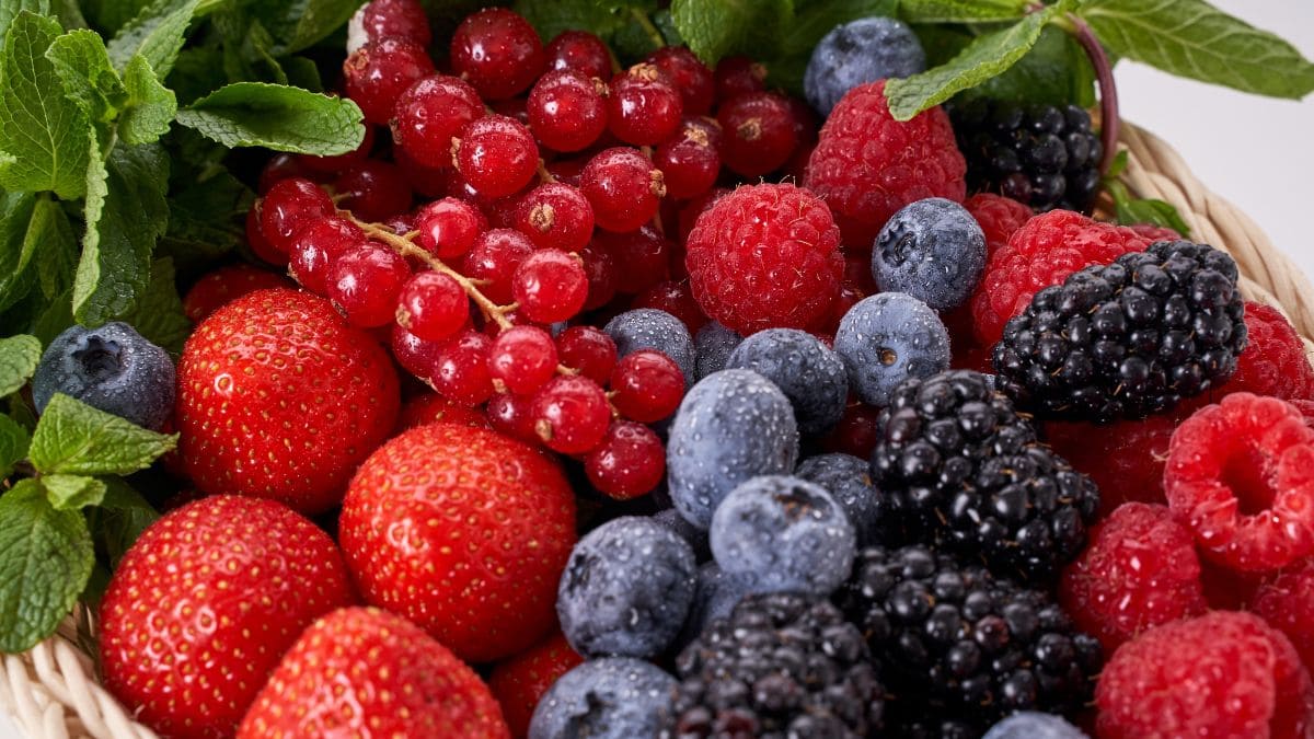 Salud, fruta, frutos rojos, Alzheimer