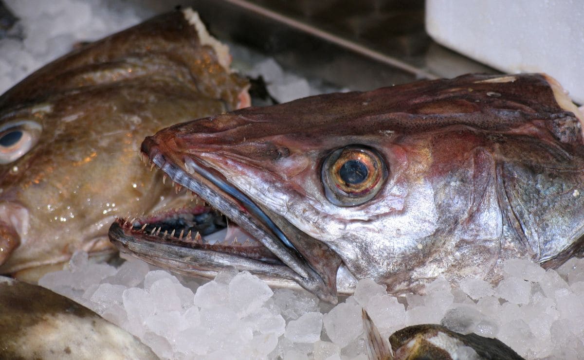 OCU, supermercado, pescado