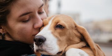 Ley de Bienestar Animal, mascotas, multas, sanciones