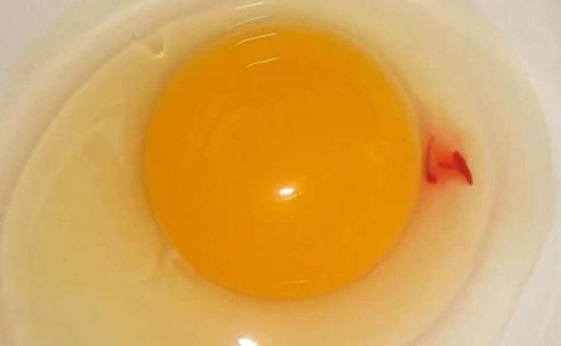 Cómo actuar ante manchas en la clara de huevo