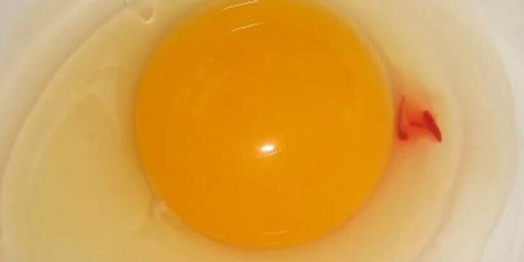 Cómo actuar ante manchas en la clara de huevo