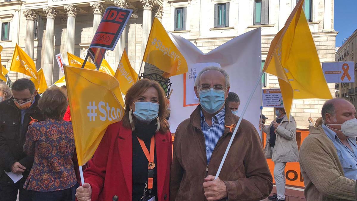 Manifestación CEDDD Eduación Especial Ley Celaa