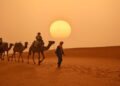 Paseo en camello por el desierto, una de las excursiones más típicas de Marruecos