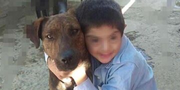 Matan envenenado al perro de apoyo de un niño con Síndrome de Down