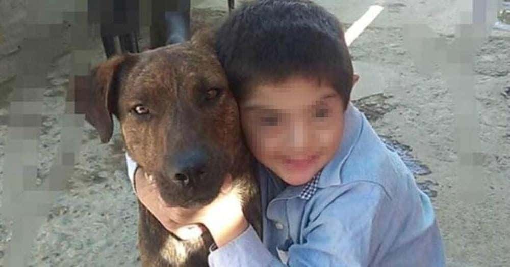 Matan envenenado al perro de apoyo de un niño con Síndrome de Down