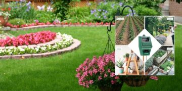 Medidor de humedad para jardin en verano