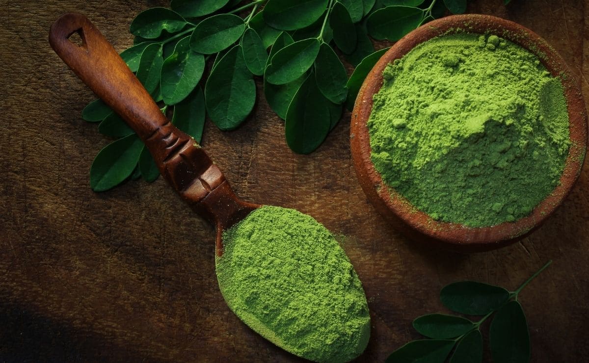 Moringa superalimento