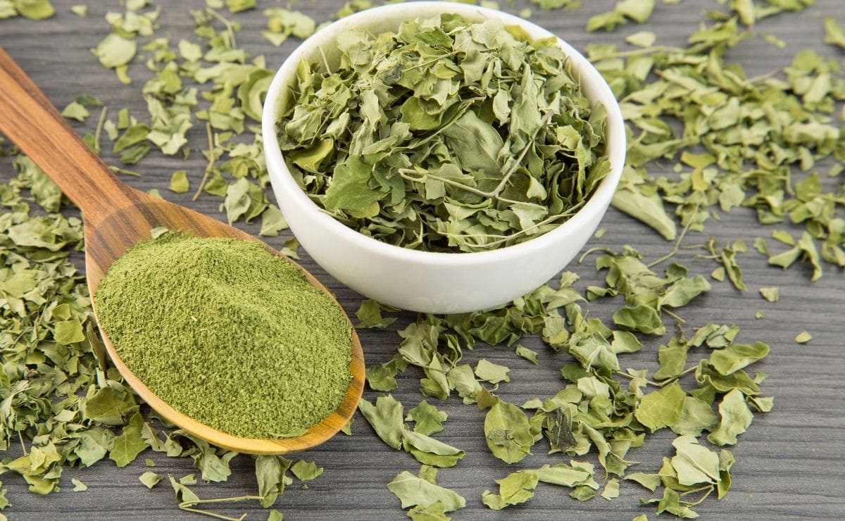 Moringa, superalimento