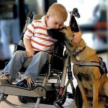 Niño en silla besa a su perro