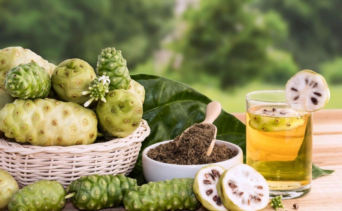 Noni Superalimento