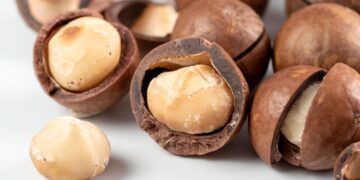 Nueces de macadamia, superalimento cardiosaludable
