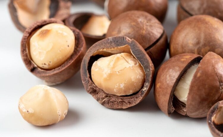 Nueces de macadamia, superalimento cardiosaludable